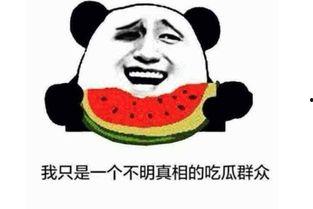 吃瓜大王是什么意思