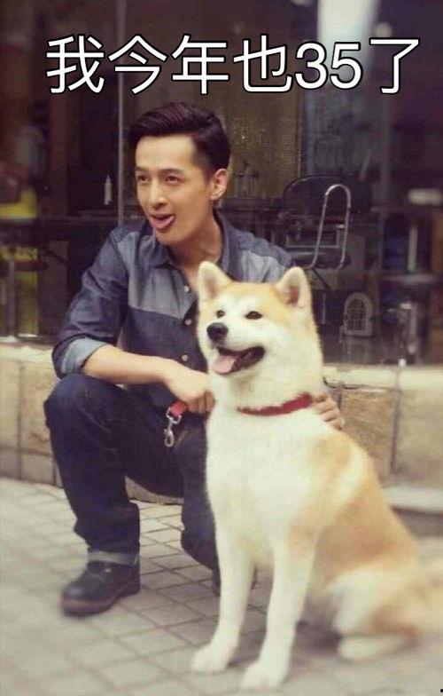 娱乐吃瓜君胡歌